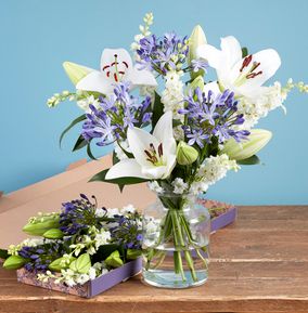 product image gallery_main