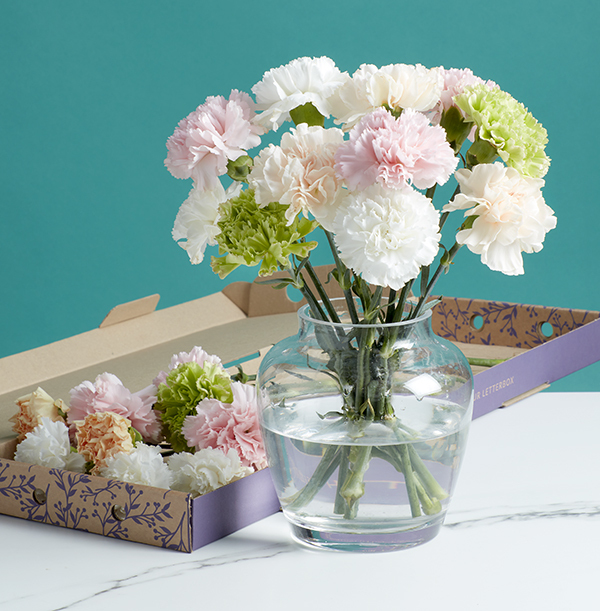 The Letterbox Pastel Unicorn Carnations