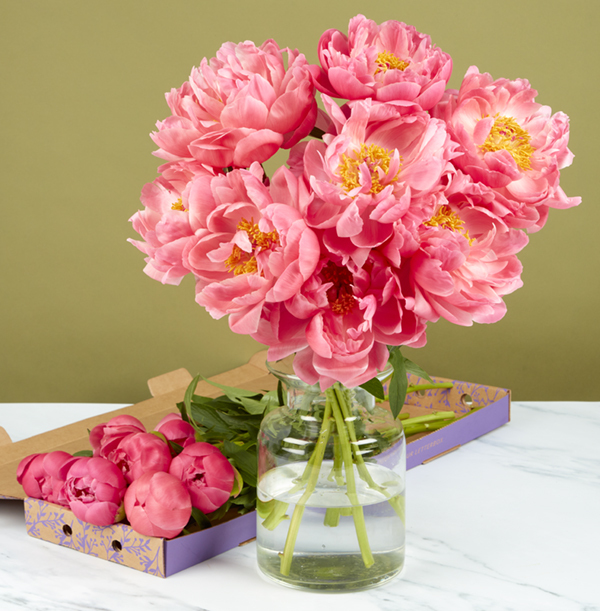 The June Peony Letterbox Of The Month