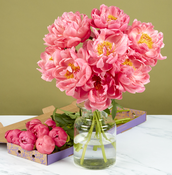 The Perfect Peonies Letterbox