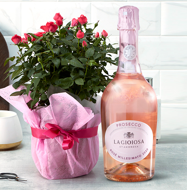 Pink Rose and Prosecco Rosé Gift Set