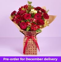 Tap to view Red Christmas Gift Bag