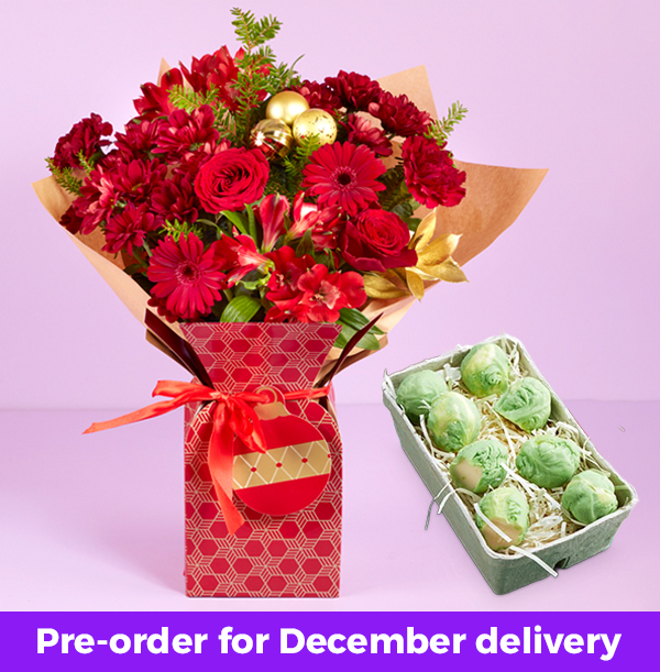 Red Christmas Gift Bag & Chocolate Sprouts Giftset