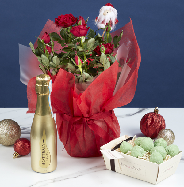 Red Rose, Fizz & Sprout Gift Set