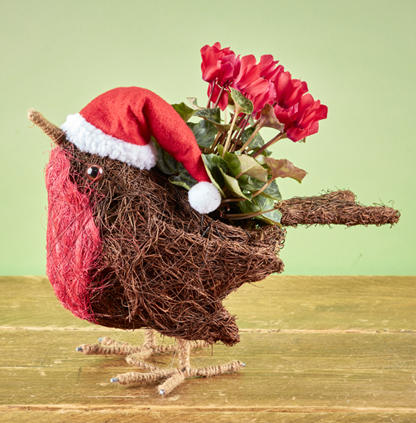 Bobby The Robin Winter Planter