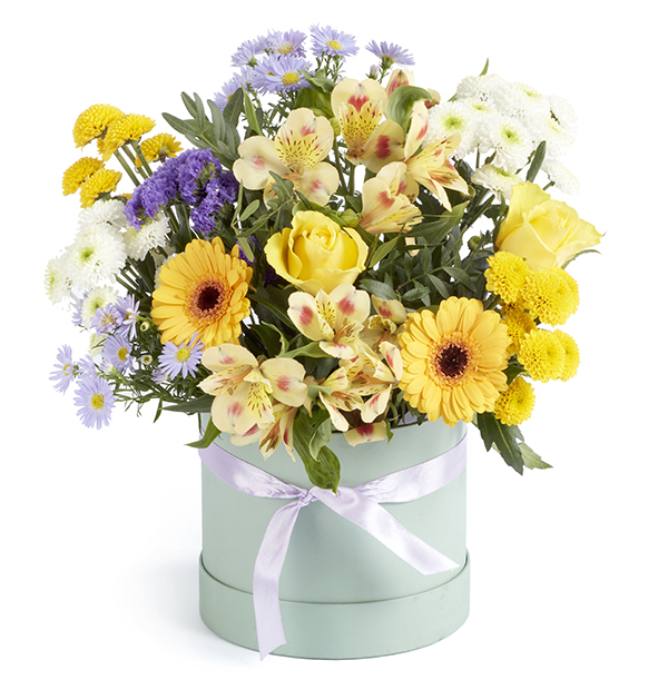 The  Spring  Hatbox
