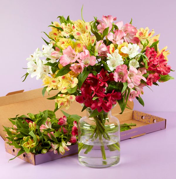 Photo of Mixed Summer Alstroemeria Letterbox