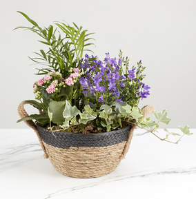 The Spring Basket