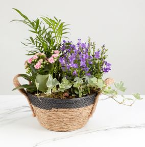 product image gallery_0