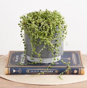 product image gallery_0