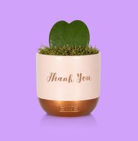 Tap to view The Little Botanical Thank You Hoya in Pink and Copper Ceramic