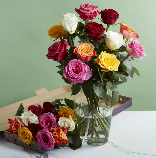 The Letterbox Mixed Roses - £20.99