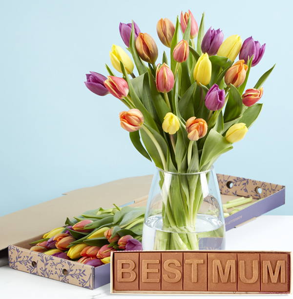 The Colourful Tulip Gift Set