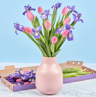 Tulip & Iris Letterbox