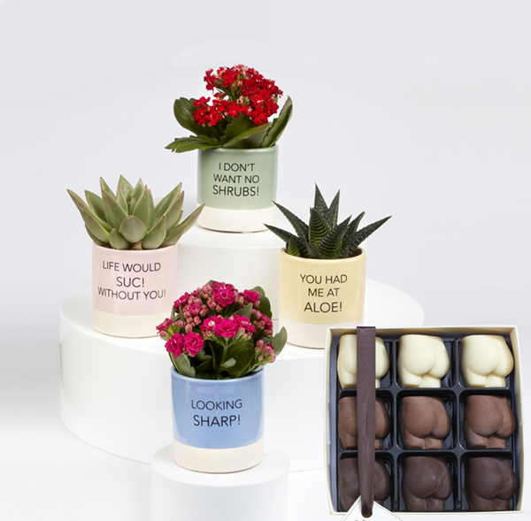 Valentines Slogan Pots & Chocolate Bums