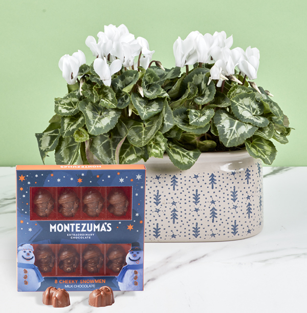 Winter Cyclamen And Chocolate Snowmen Gift Set