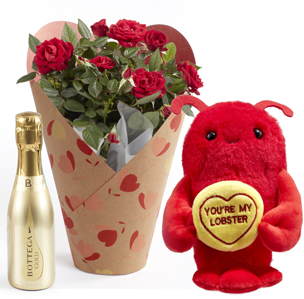 Valentines  Rose Bush Gift Set