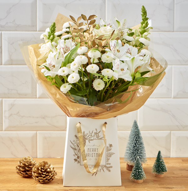 The Merry Christmas Gift Bag