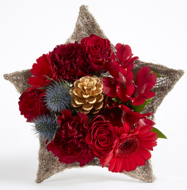 The Christmas Star Arrangement