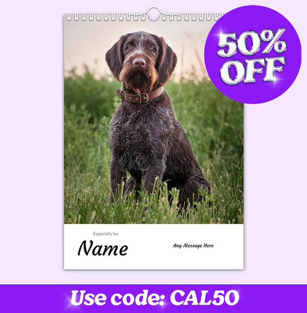 Personalised Pet Photo Calendar
