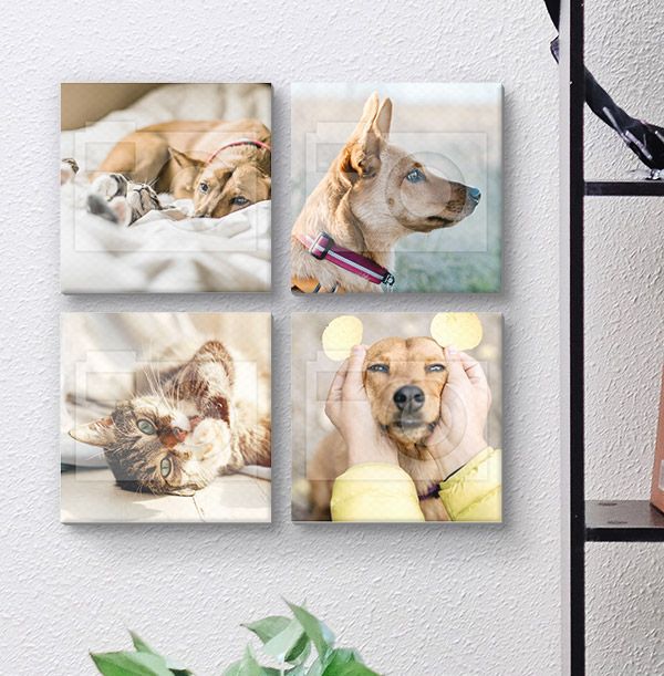 product image gallery_0