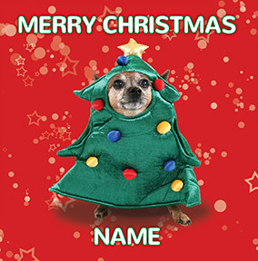 Dog Christmas Outfit Personalised Card