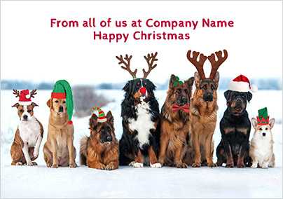 Snow Dogs Corporate Christmas Card