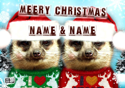 Meerkats 3D - Meery Xmas