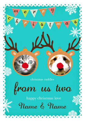 Bauble Yourself - Xmas Pets