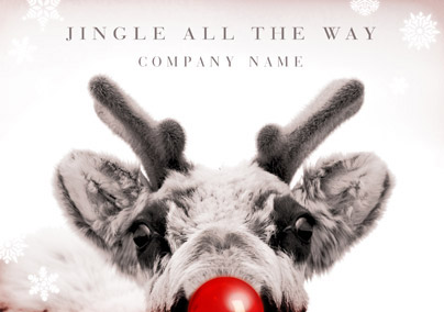 Touch of Red - Corporate Reindeer