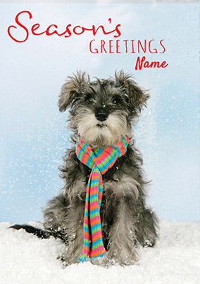 Dog Christmas Card Season's Greetings - Abacus