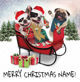 Humour Christmas Card Pug and Frenchies - CardMix