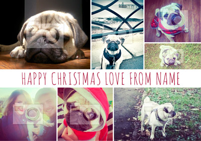 From the Dog Photo Upload Christmas Card Multi - Essentials