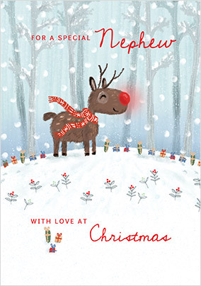 Special Nephew at Christmas Personalised Card