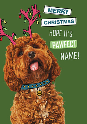 Pawfect Christmas Personalised Card