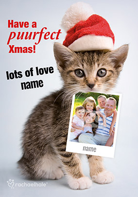 Cat Photo Upload Christmas Card Puurfect Xmas! - Rachael Hale