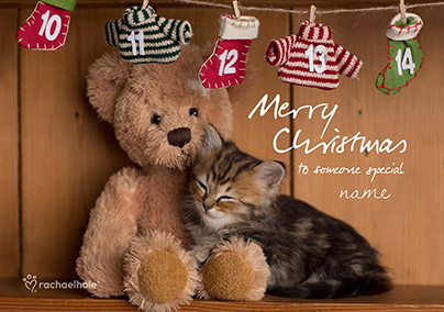 Cat Christmas Card Teddy Bear Snuggles - Rachael Hale