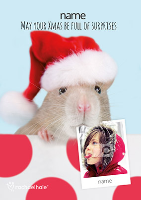 Hamster Photo Upload Christmas Card - Rachael Hale