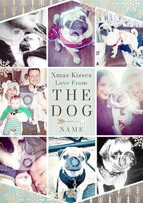Xmas Kisses From The Dog Multi Photo Christmas Card