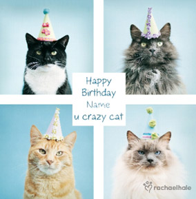Cats in Party Hats personalised Birthday card - Crazy Cat