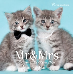 Kitten Couple personalised Wedding Mr & Mrs card