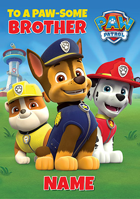 Paw Patrol - A Paw-some Brother