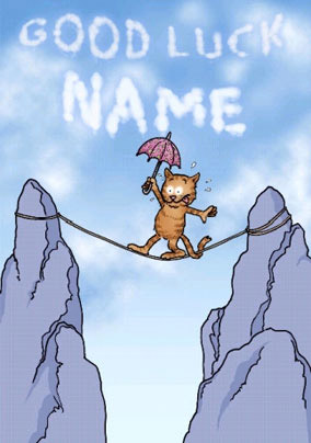 DS Cats - Balancing