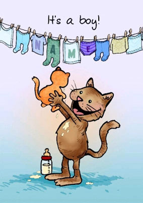 DS Cats - Baby Boy 2