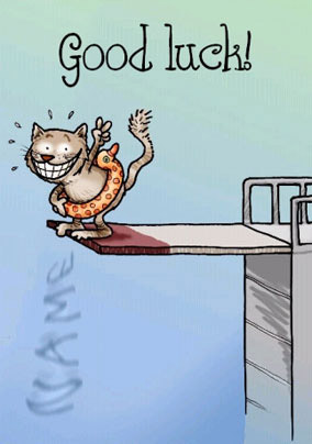 DS Cats - Diving