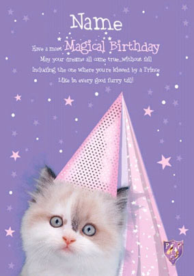 Pet Poets - Princess Kitten 2