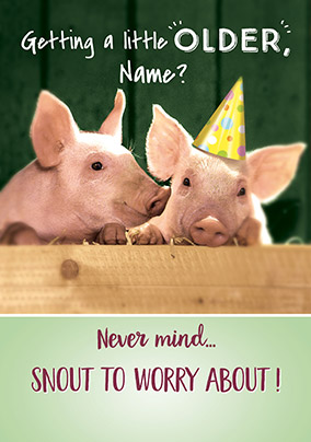 Snout To Worry About Personalised Card