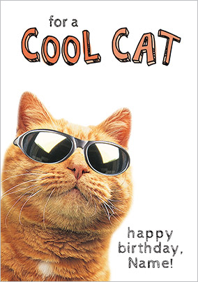 Cool Cat Humorous Birthday Card