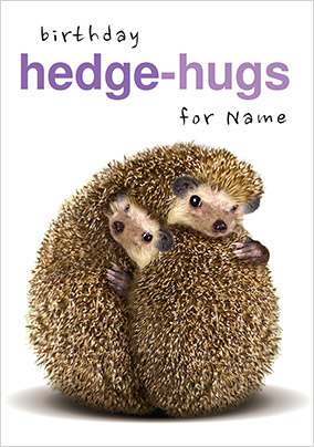 Hedge-hugs Personalised Birthday Card