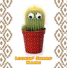product image front